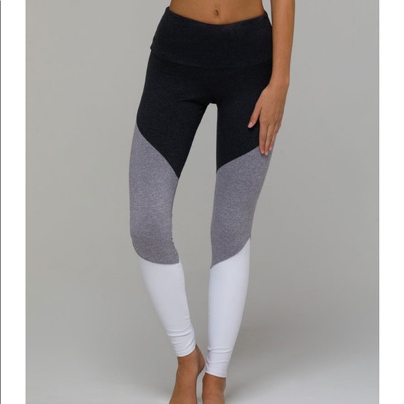legging breeches